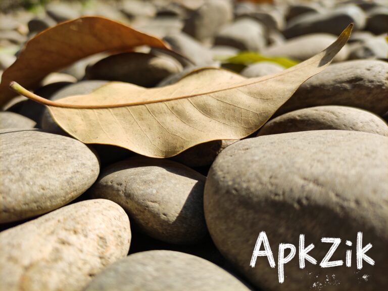 How to Create Art Photos Without Editing